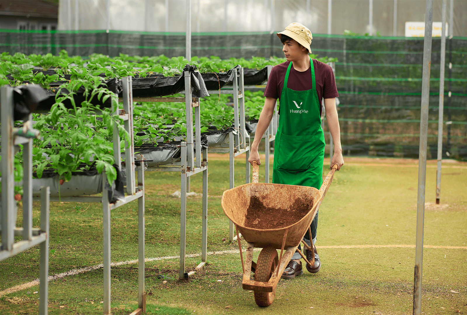 Nông Sản HuongVie