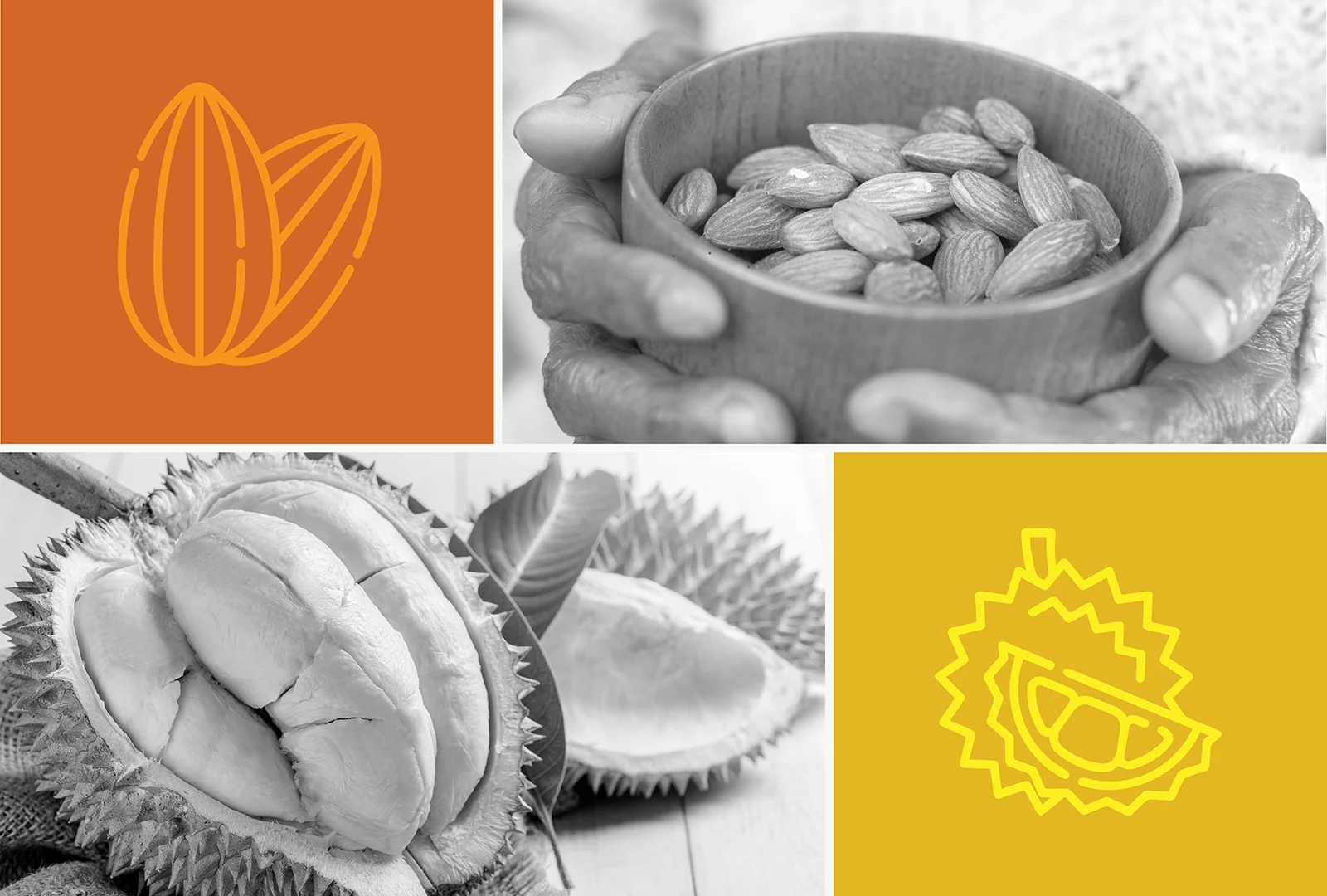 Bản Cacao