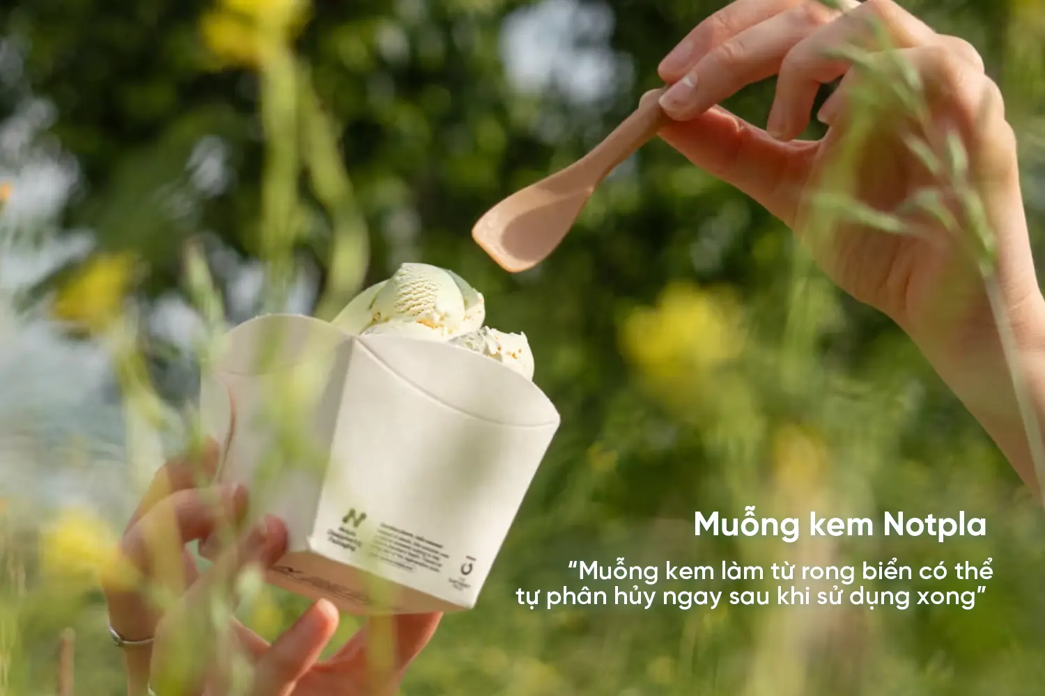 Bao bì ăn được - Xu hướng mới bền vững và tiềm năng