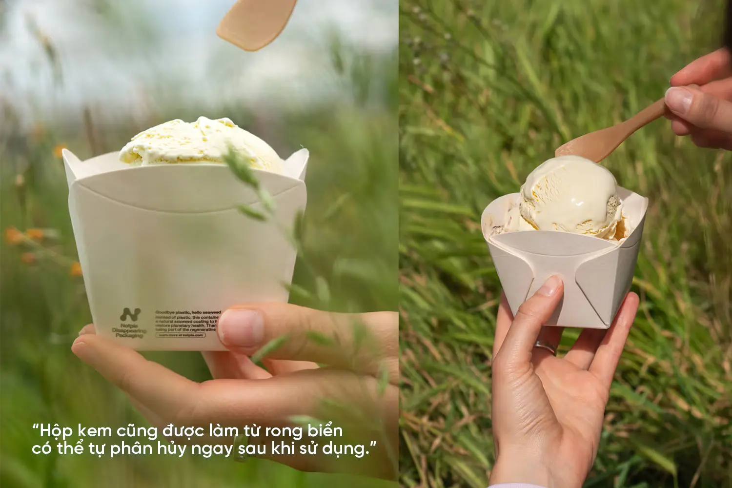 Bao bì ăn được - Xu hướng mới bền vững và tiềm năng