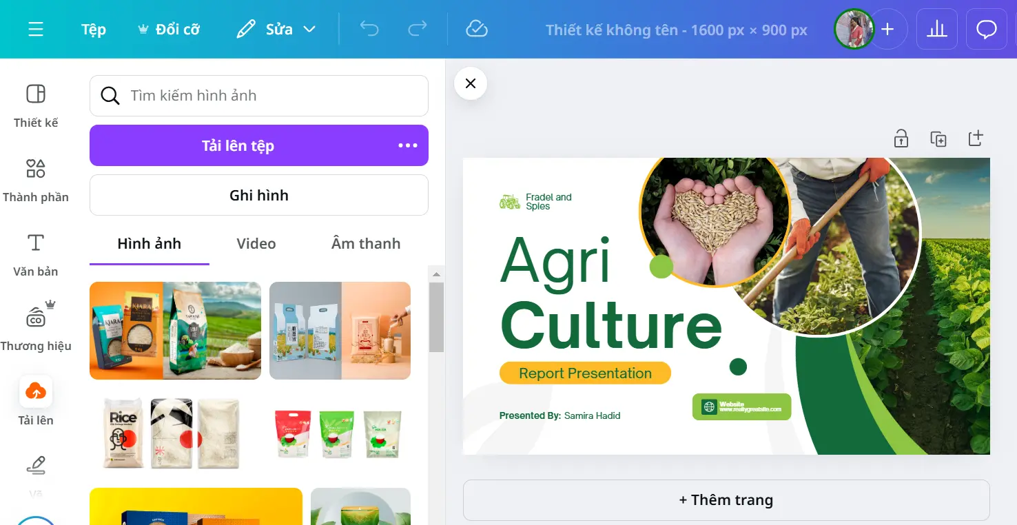 Cách thiết kế bao bì trên canva đơn giản, nhanh chóng