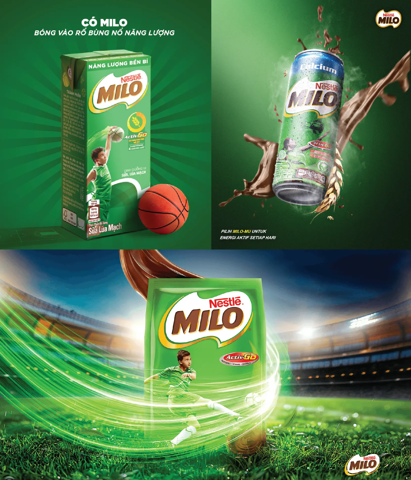 Thiết kế bao bì của Milo - giải pháp bao bì bền vững