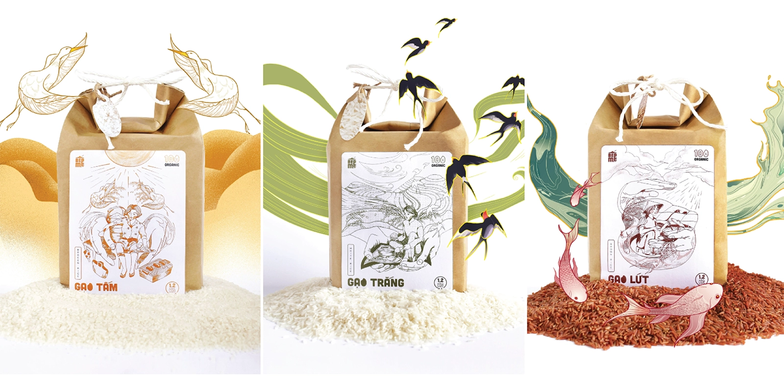 Mẫu bao bì gạo: Kiểu dáng và chất liệu trên thị trường