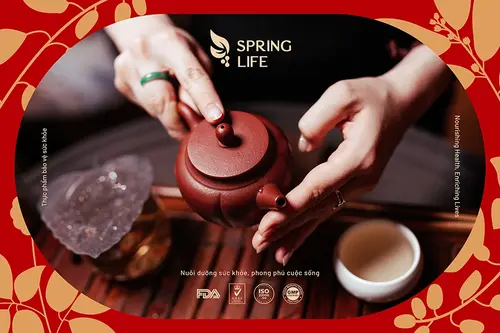 Trà Thảo Mộc Spring Life