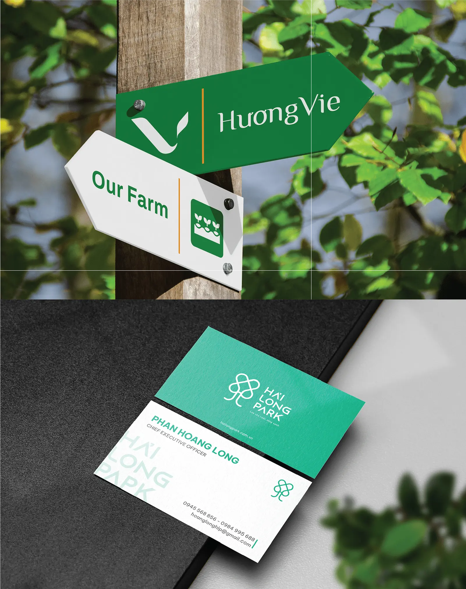 Làm sao để chọn đúng đơn vị thiết kế logo công ty uy tín và tránh rủi ro?