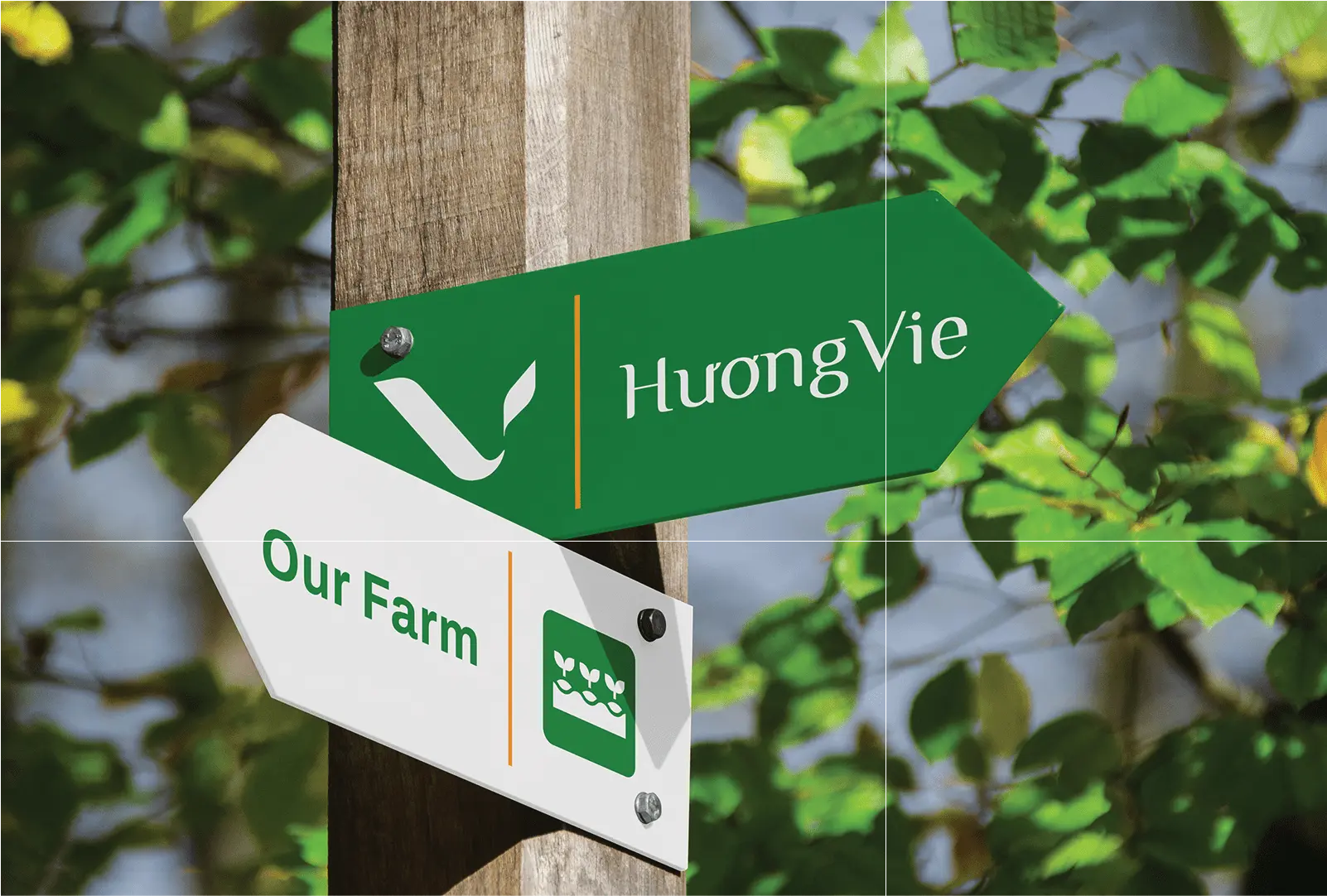 Guru Design tạo logo thương hiệu Hương Vie