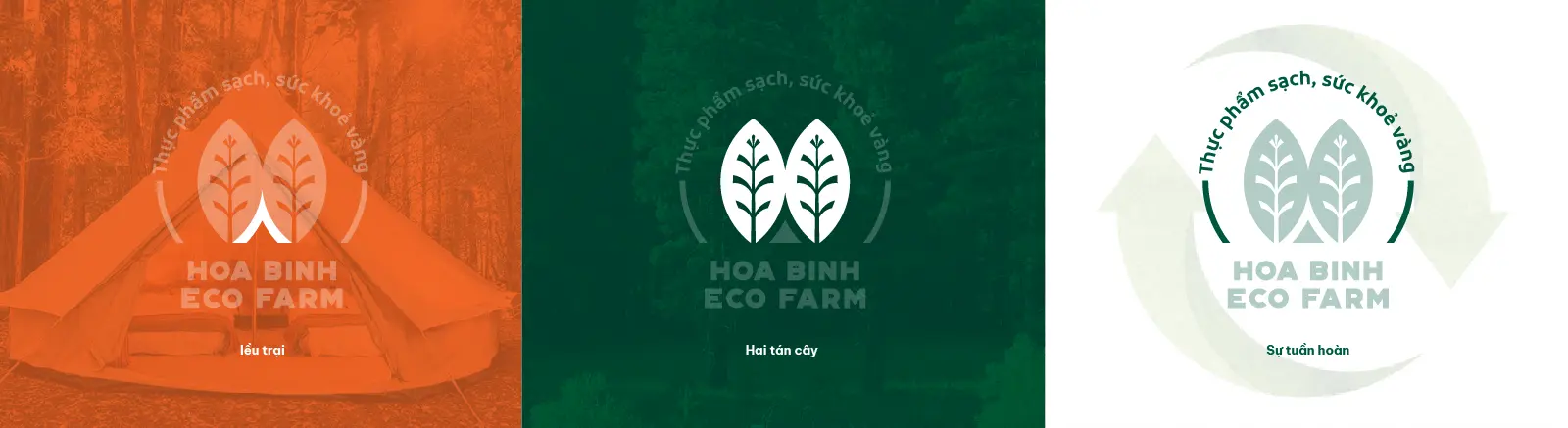 Hòa Bình Ecofarm