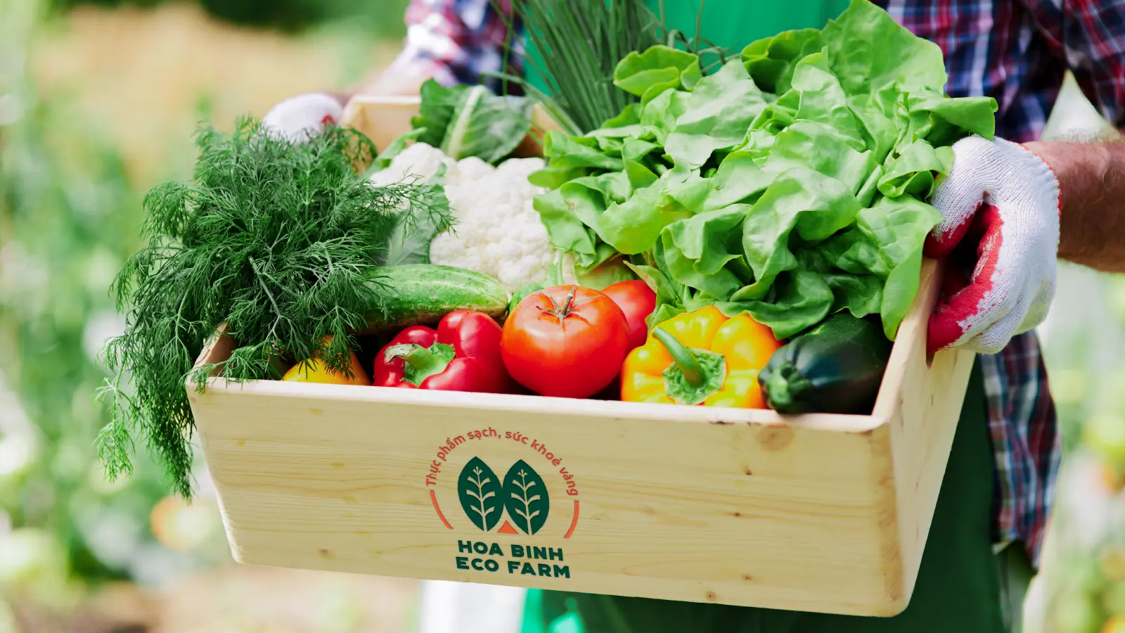 Hòa Bình Ecofarm