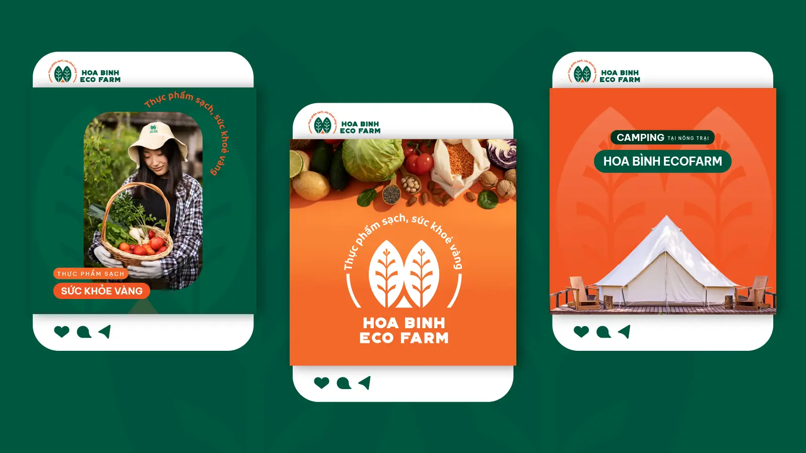 Hòa Bình Ecofarm