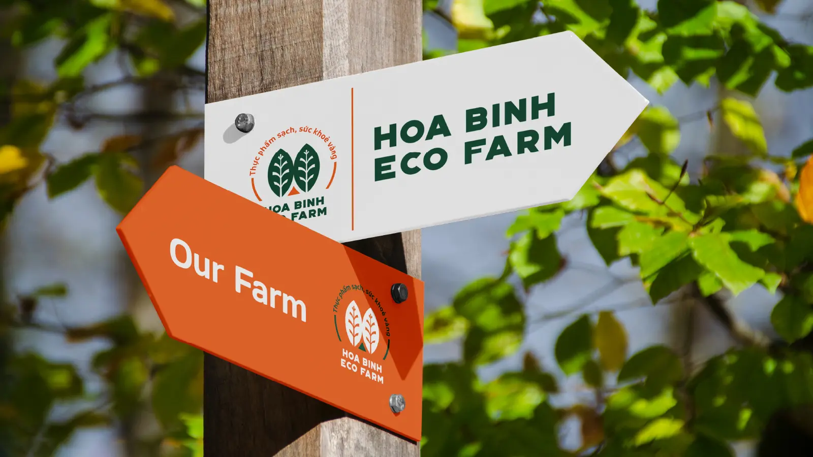 Hòa Bình Ecofarm