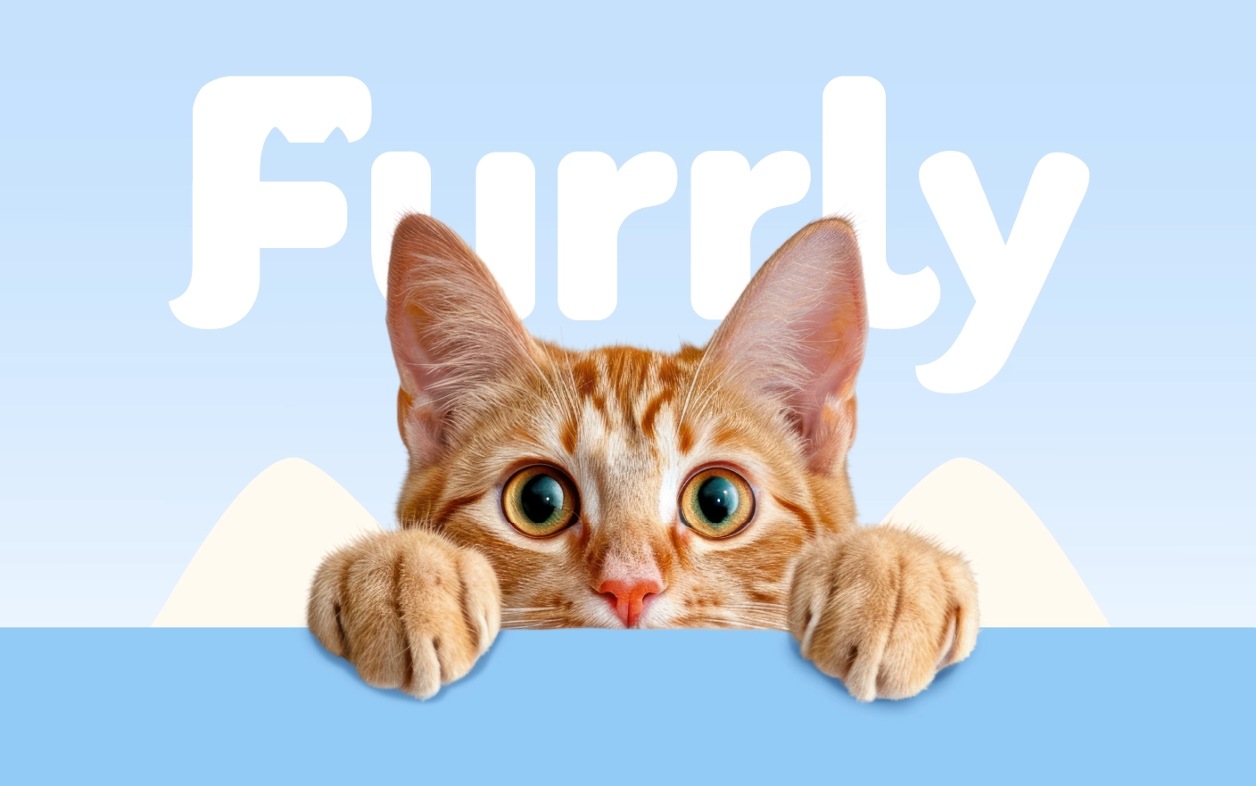 Furrly Pet Hygiene 31 Furrly Pet Hygiene