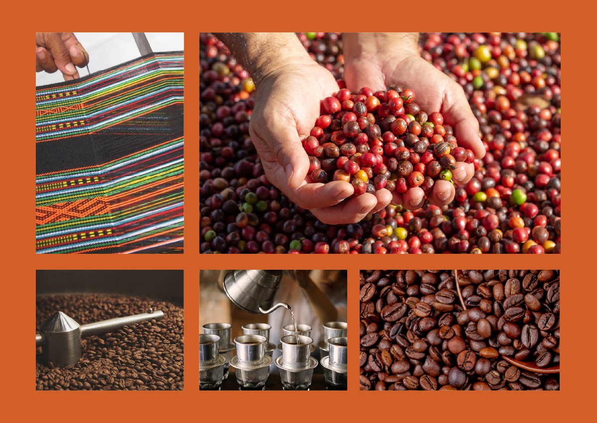 Thiết kế logo và bao bì cho Dakao Coffee do Guru Design thực hiện, hình ảnh truyền cảm hứng thực tế