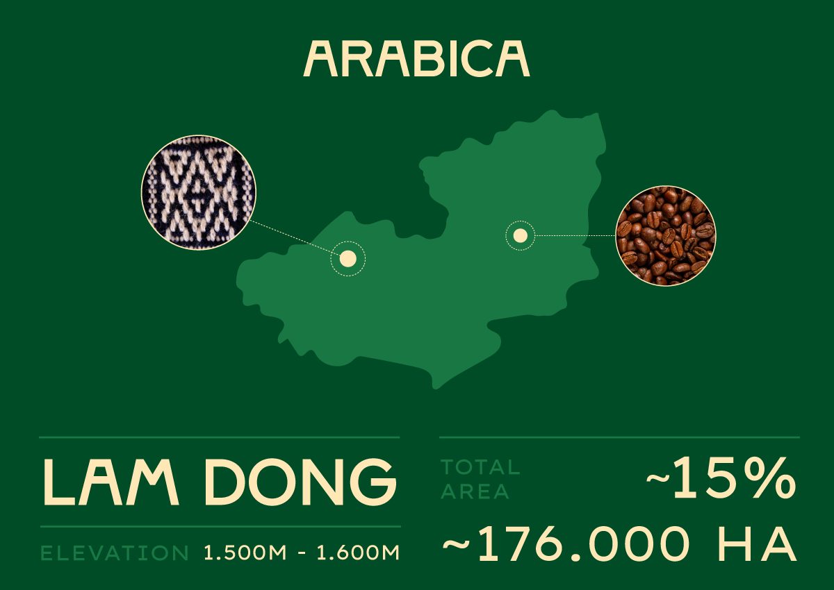 Thiết kế logo và bao bì cho Dakao Coffee do Guru Design thực hiện, vùng trồng Arabica đặc trưng nhất