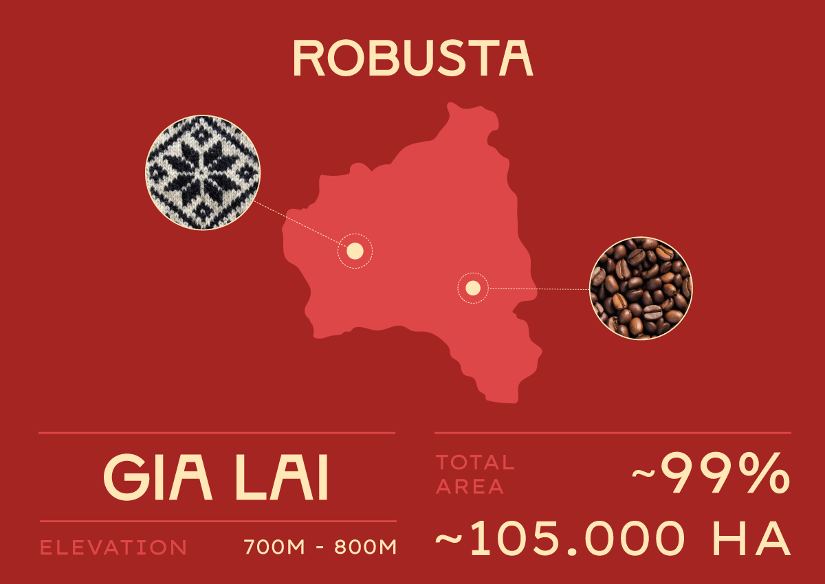 Thiết kế logo và bao bì cho Dakao Coffee do Guru Design thực hiện, vùng trồng Robusta nổi tiếng nhất của Việt Nam