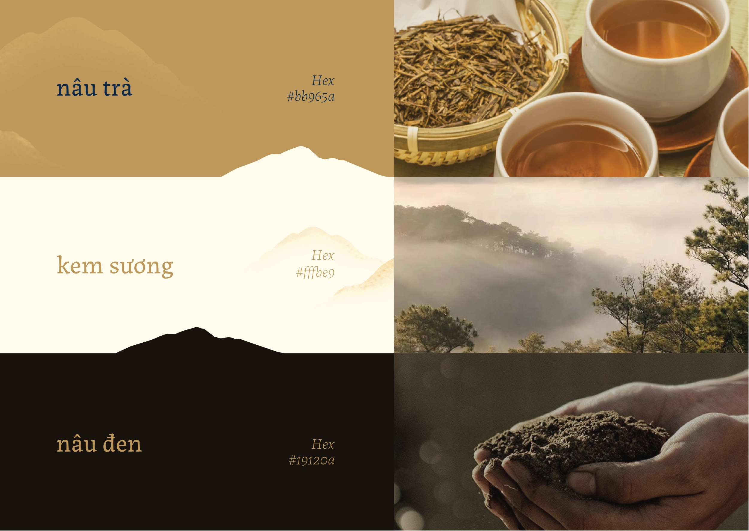 Thiết kế logo và nhận diện thương hiệu Vùng Cao Trà & Cà Phê do Guru Design thực hiện, bộ màu thương hiệu
