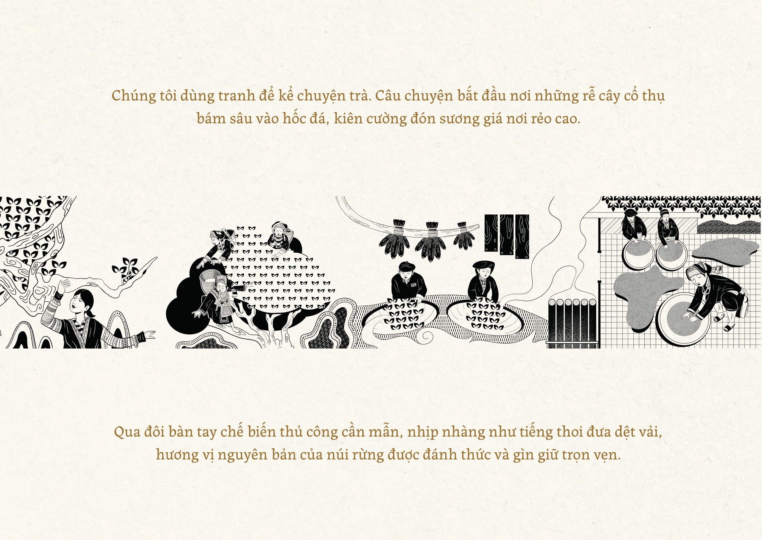 Thiết kế logo và nhận diện thương hiệu Vùng Cao Trà & Cà Phê do Guru Design thực hiện, cảm hứng vẽ tranh minh họa cách thu hoạch và chế biến nguyên liệu truyền thống