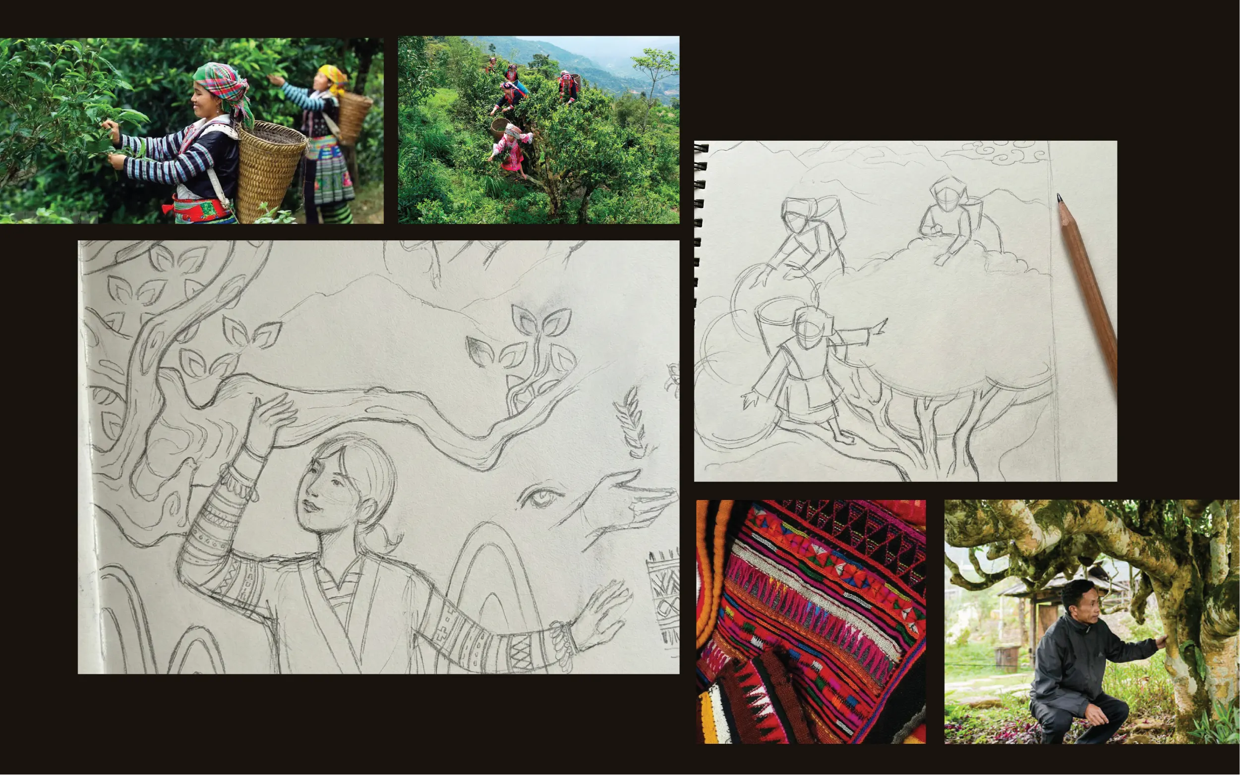 Thiết kế logo và nhận diện thương hiệu Vùng Cao Trà & Cà Phê do Guru Design thực hiện, nghiên cứu cách thu hoạch và chế biến nguyên liệu truyền thống