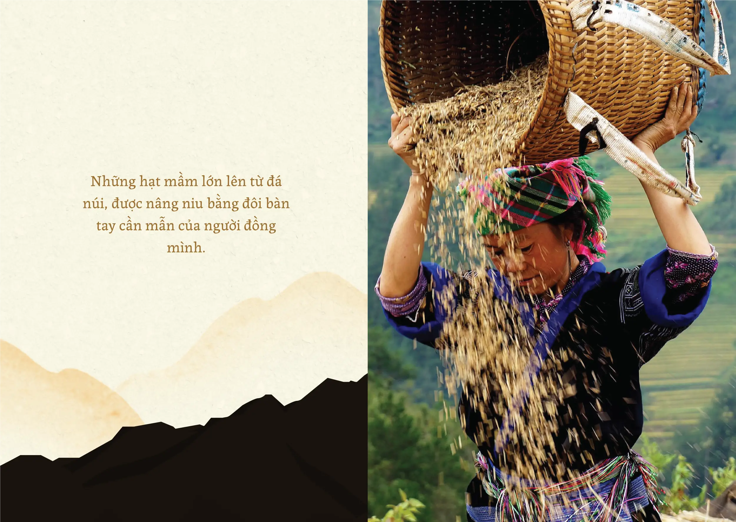 Thiết kế logo và nhận diện thương hiệu Vùng Cao Trà & Cà Phê do Guru Design thực hiện, nghiên cứu nội tại của thương hiệu