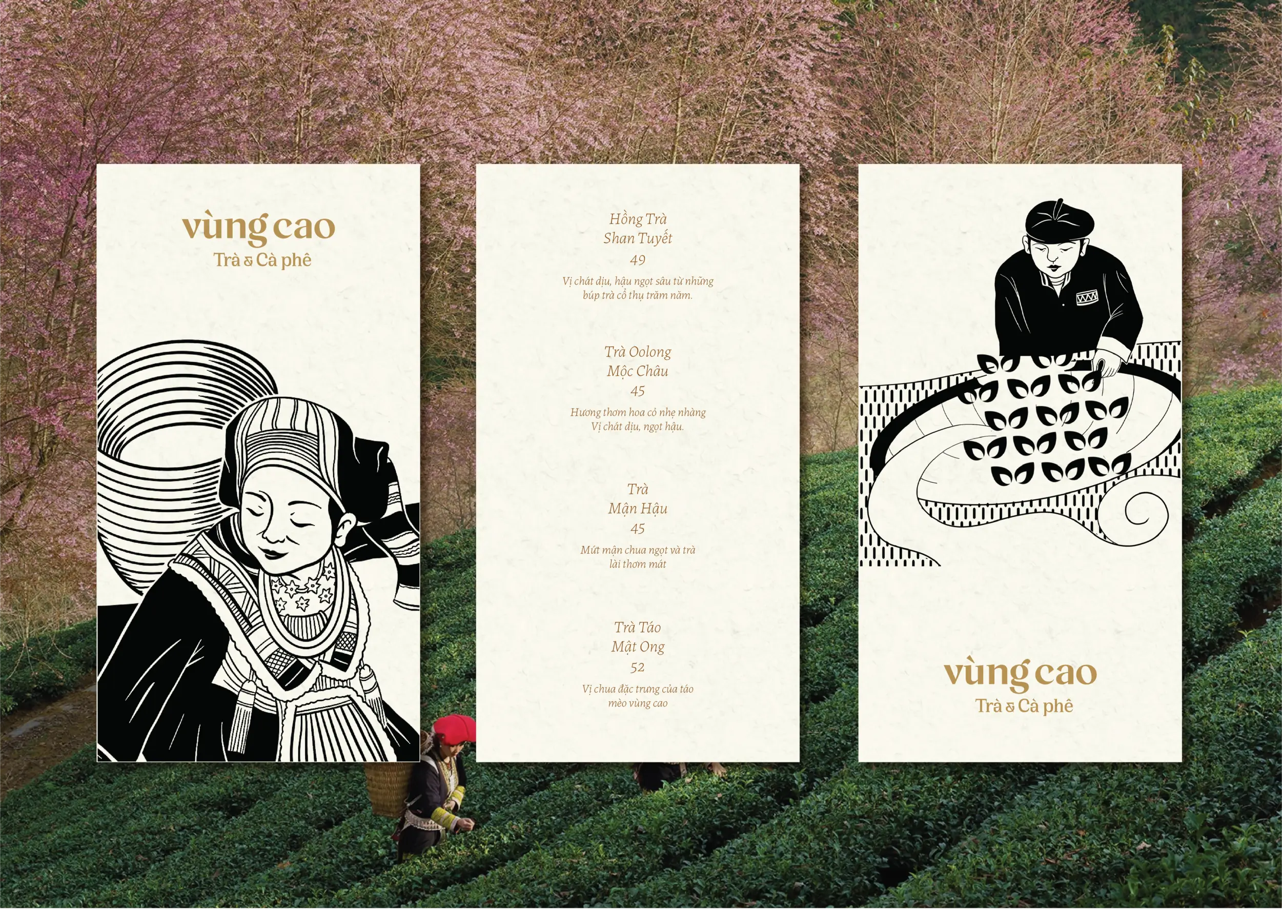 Thiết kế logo và nhận diện thương hiệu Vùng Cao Trà & Cà Phê do Guru Design thực hiện, thiết kế menu